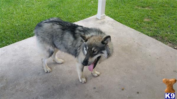 rickey9174 Picture 1